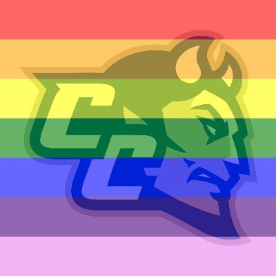 CCSU Pride club! Pride supports LGBTQ+ students on campus and provides educational, awareness and community building programs. Meetings at 8:15pm on Tuesdays!