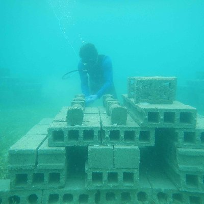 Coastal Ecology and Conservation Lab Profile