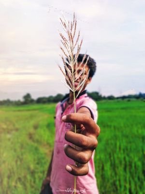 Chandra70967369's profile picture. 