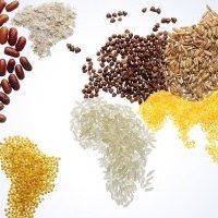 GlobalNutritionWageningen (@globalnutritio3) 's Twitter Profile