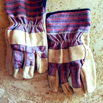 DougGloves's profile picture. expert fruit digester