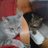 🌟🌟Paul 😾 Grison😼🐾Johnny😻