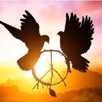 erh+ (@erheren) Twitter profile photo