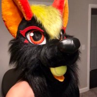 🖤❤️Sigma⚡️Wolf↕️⬇️⛓ (@sigmawolf14) 's Twitter Profile