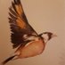 Fr. Stephen Wright (@frstephenwrigh1) Twitter profile photo Fr. Stephen Wright (@frstephenwrigh1) Twitter profile photo