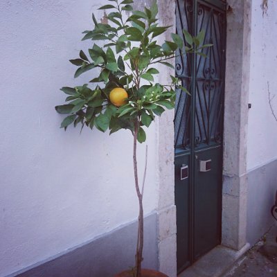 AniaSlezak's profile picture. 