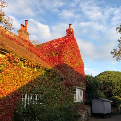 Saltmarsh is a beautiful 16th Century farmhouse nestled in the stunning Seven Sisters Country Park. Café, kitchen and rooms🌷