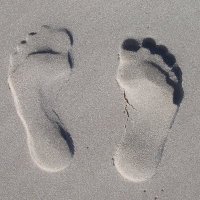Stan Williams (@offsidesnyc) 's Twitter Profile