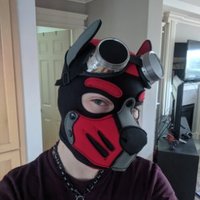 Booster! (@pupbooster) 's Twitter Profile