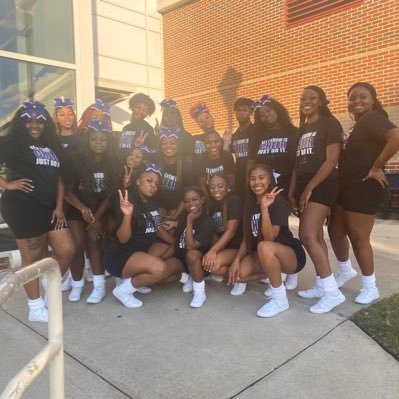 Middle Georgia State Univeristy's Official Cheerleading team. Football. Basketball. #MGACheerTeam #MGAKnights 💜⚔️