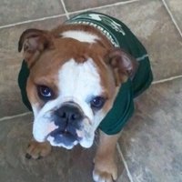Darlene G (@dgrymaloski) 's Twitter Profile