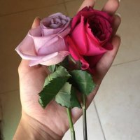 . (@2sma__11) Twitter profile photo