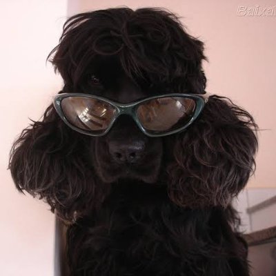 Samuelsantoss_'s profile picture. 
