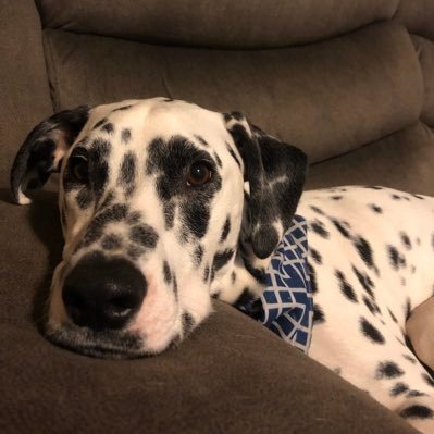 toni_8729's profile picture. Be happy, its worth it! :)