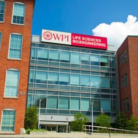 Department of Biomedical Engineering at Worcester Polytechnic Institute