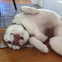 Max Joyner - @Mbjoyner - Twitter