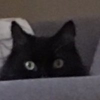 Badking mwahaha (@badkingmwahaha) 's Twitter Profile