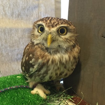 IKNLQbLlkBTtEjt's profile picture. 