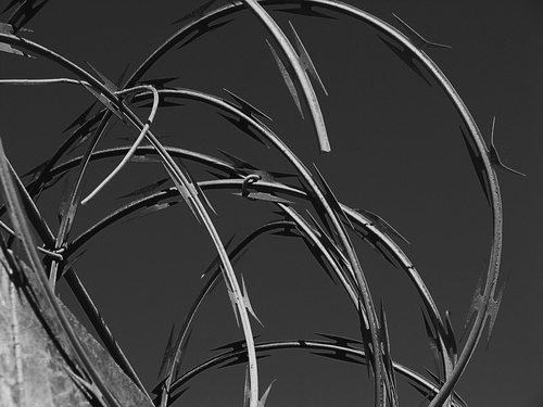 Qwertya11's profile picture. 