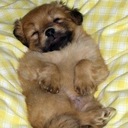 aimee oconnor - @rihannaaimee - Twitter