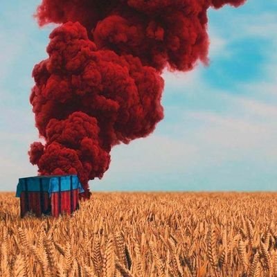 MuhamnadFaizan2's profile picture. 