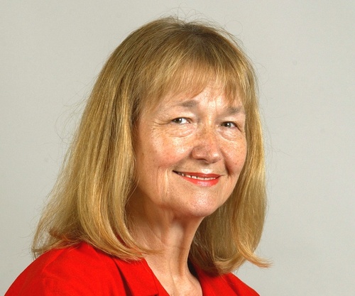 Oakland Press free lance reporter