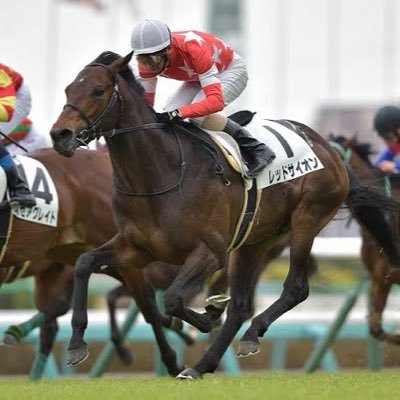 競馬大好き、馬おくんです。 日本の真ん中ら辺の県で、大学生してます！！ 今年の投資1,693,700円(JRAのみ) 今年の回収1,372,170円 的中率81%！ なんとかして、今年の負けを回収せねば…よろしくお願いします！