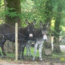 Wanda Boone - @wanrya - Twitter