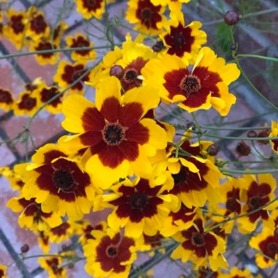 parknfly07's profile picture. We are each imperfect. We build our futures, for those who are near and far, human and not, for good and ill, with and without intent. Let’s be thoughtful.