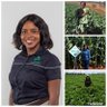 WendyMadzura's profile picture. Passionate AGRONOMIST/SEEDTICIAN. Providing solutions for increased productivity.
#ItStartsWithTheRightSeed 🌽🍅🥦🍉🥕