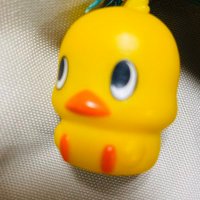 ぴーたん (@piitan_desu) 's Twitter Profile Photo