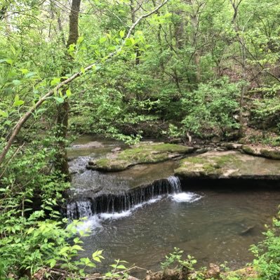 theTurnerLab's profile picture. Substance use disorder (SUD) neuroscientist.