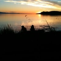 Linda Andersen Holmes (@aalborg58) 's Twitter Profile