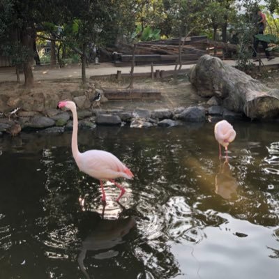 ken521463's profile picture. 