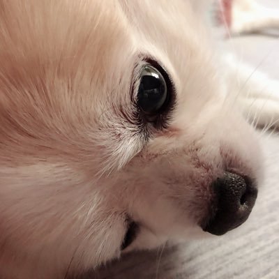 3_20tomo's profile picture. #鷲尾伶菜 #入江里咲🐯ファン