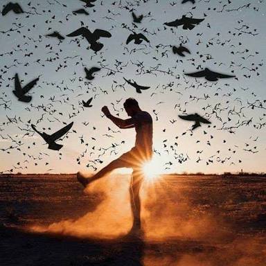 masry25's profile picture. 