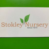 Sara Tejada (@saratejada11) 's Twitter Profile