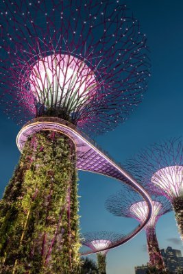 When Society becomes complicated? Keep asking smaller questions to get the bigger picture