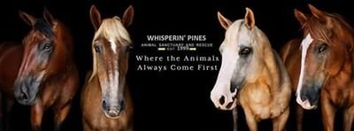 Whisperin' Pines Animal Sanctuary and Rescue is a about providing needy animals with shelter, food, and companionship.