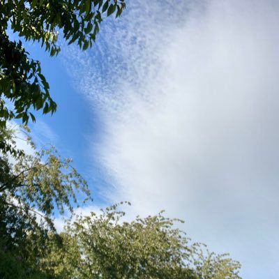 Kaldigital's profile picture. 