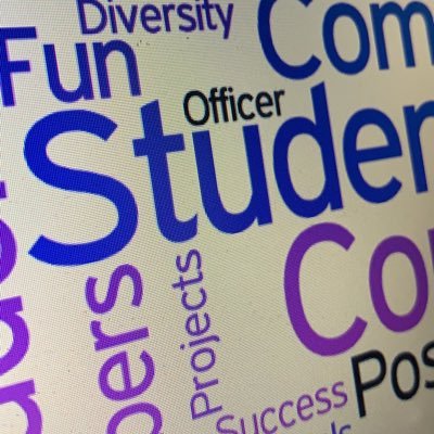 Nimitz/STEM Student Council