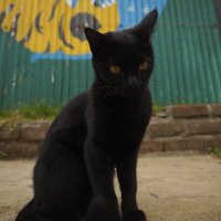 manikandan (@cbmanikandan) 's Twitter Profile