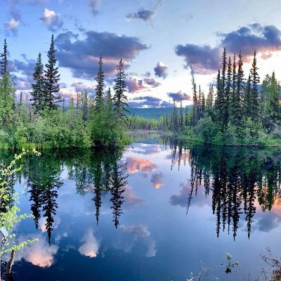 military wife, mother, nana. teacher in Alaska, doctorate student. I love to go riding with my family and friends to see this beautiful state.