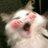 OxcCHMbbmDH3esy's profile image