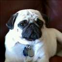 Gary Romo - @GaryRomo999 - Twitter