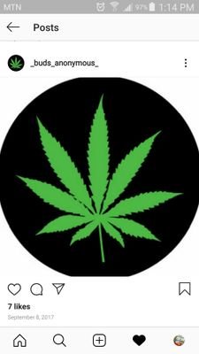 Am a real plug🔌
All about green ☘
Topshelf bud🍁🍁💨💨💨
Do the topshelf cultivation over here at Denver, CO
Call the dealer📞 3107734786