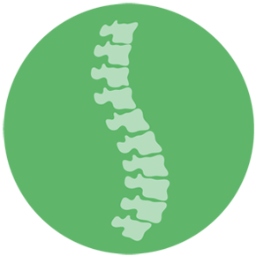 Exercises and solutions for back pain relief