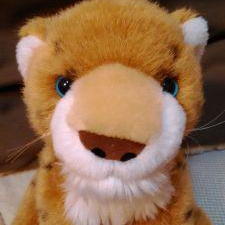 NAO__007's profile picture. 📸ポートレート/スポーツ/風景等々 #写真 を撮ったり見たりが好き / 好きなおうま🐴 六歳 #ライラック 🐴 五歳 #シンリョクカ 🐴 #ベラジオオペラ 🐴 三歳 #ニタモノドウシ #カムニャック/ ⚽ #横浜FCシーガルズ 🏀 #starjets 🏈 #bigbluecheerleaders 推し📣