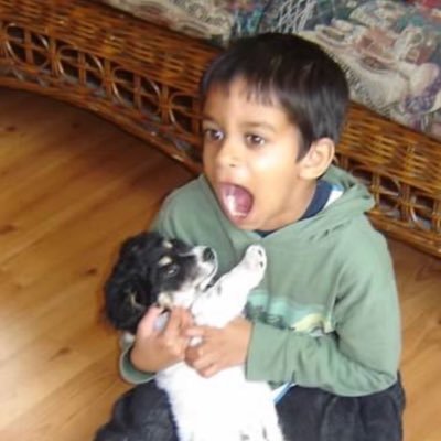 Rokinges's profile picture. 