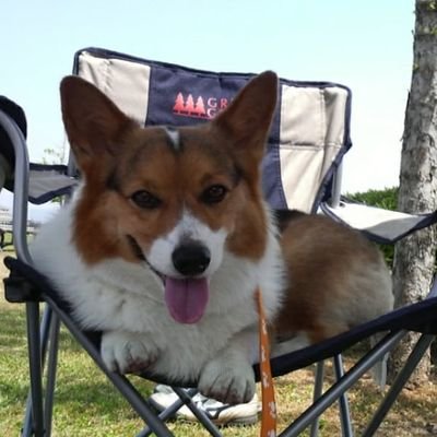 swimming, fitness, books, corgis, dog and cat, music, overseas drama.
Read without consent, but blocked depending on expression.
※Amazon associate Member